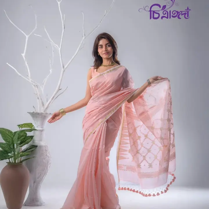 Ice cream Saree